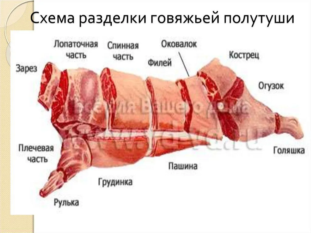 говядина и свинина  в разрубе,охл./зам. в Волгограде