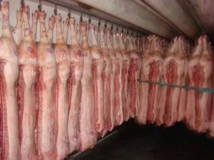 мясо свинина оптом от производителя. в Волгограде 3