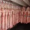 мясо свинина оптом от производителя. в Волгограде 3