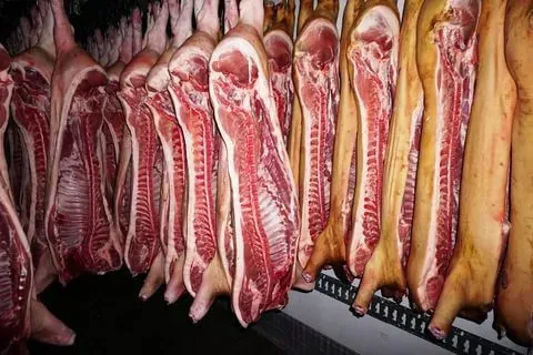 мясо свинина оптом от производителя. в Волгограде 2