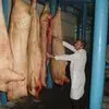 мясо свинина оптом от производителя. в Волгограде