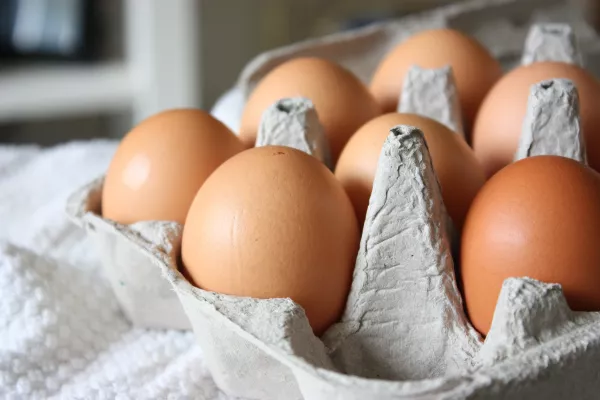 Почти 480 млн яиц произвели в Волгоградской области в январе-июле