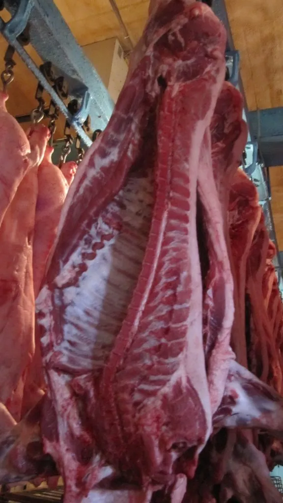 фотография продукта Мясо свинины, паленка от 150 р.
