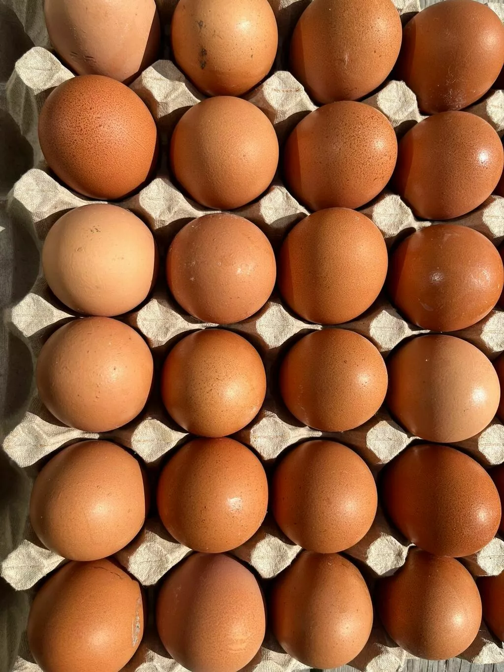 Фотография продукта Яйцо куриное со , с1 , с2