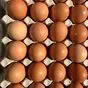 яйцо куриное с1 в Волгограде и Волгоградской области